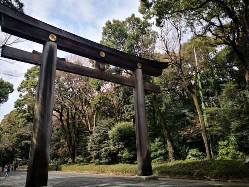 MARATONA DI TOKYO 2020 | 42K 2019